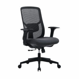 Ergo Essential Ergonomic Office Chair