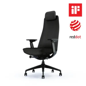 The Ergo Boss Ergonomic Chair with Headrest