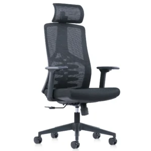 Ergo Everybody Ergonomic Chair with Headrest