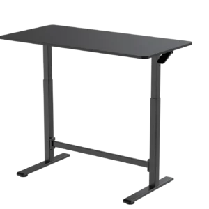 FlexiSpot H7 Gas Spring Height Adjustable Desk